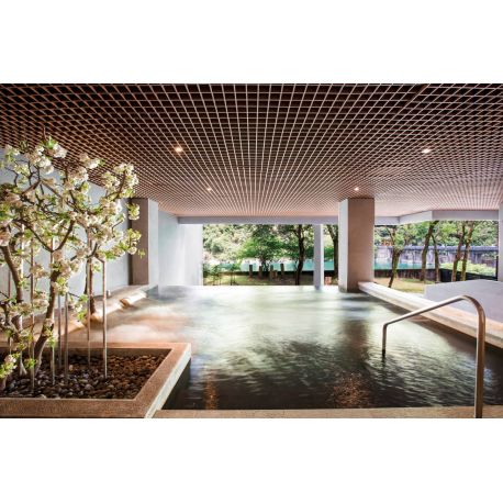 2025線上旅展-2026年大眾湯券套票10張乙套(64折)