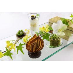 $16,800 米其林雙星饗宴